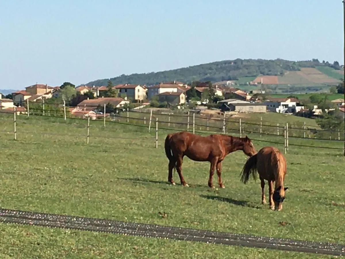 Domaine De La Poyat Bed & Breakfast Legny
